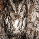 Image for article titled Spectacular winning images from Nat Geo's 2013 travel photo contest